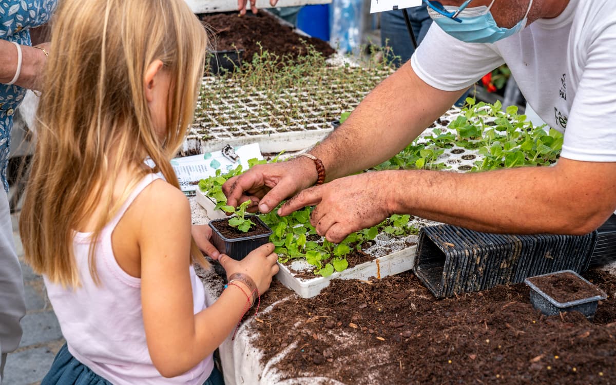 Fête des Jardins : tout le monde jardine !