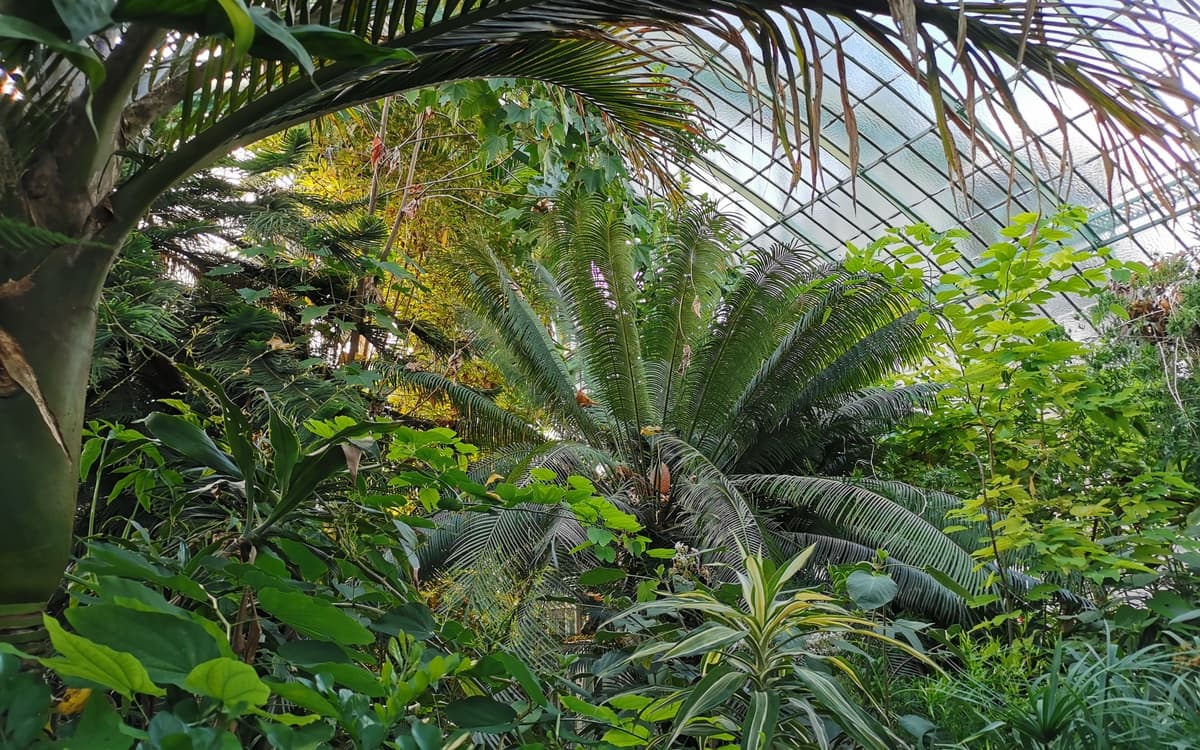 L'une des serres du Jardin des Serres d'Auteuil