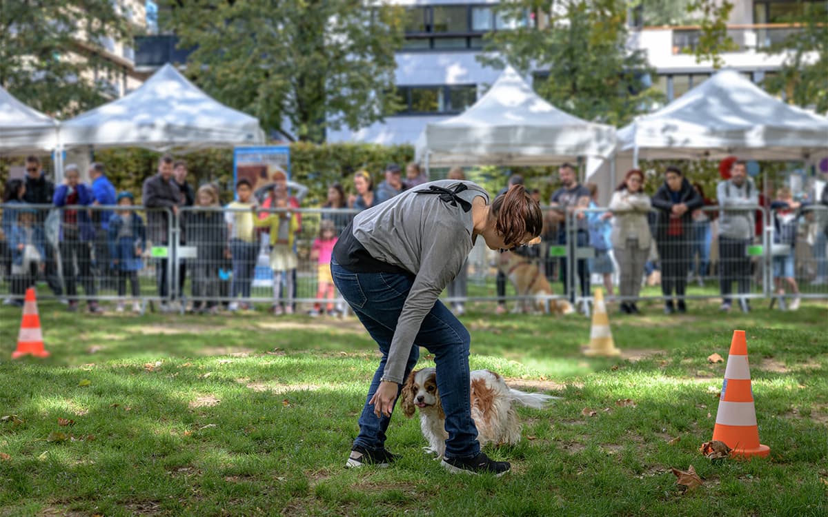 La Fête de l'animal en ville attire chaque année les amoureux des animaux.