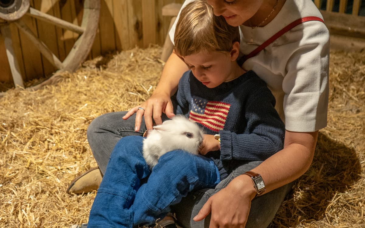 Le Monde de Noé, la première expérience immersive avec des animaux