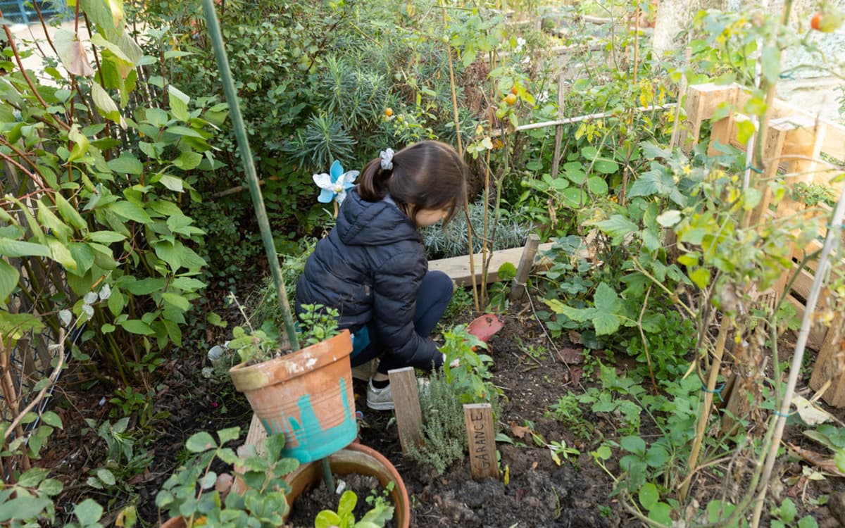 Jardinage