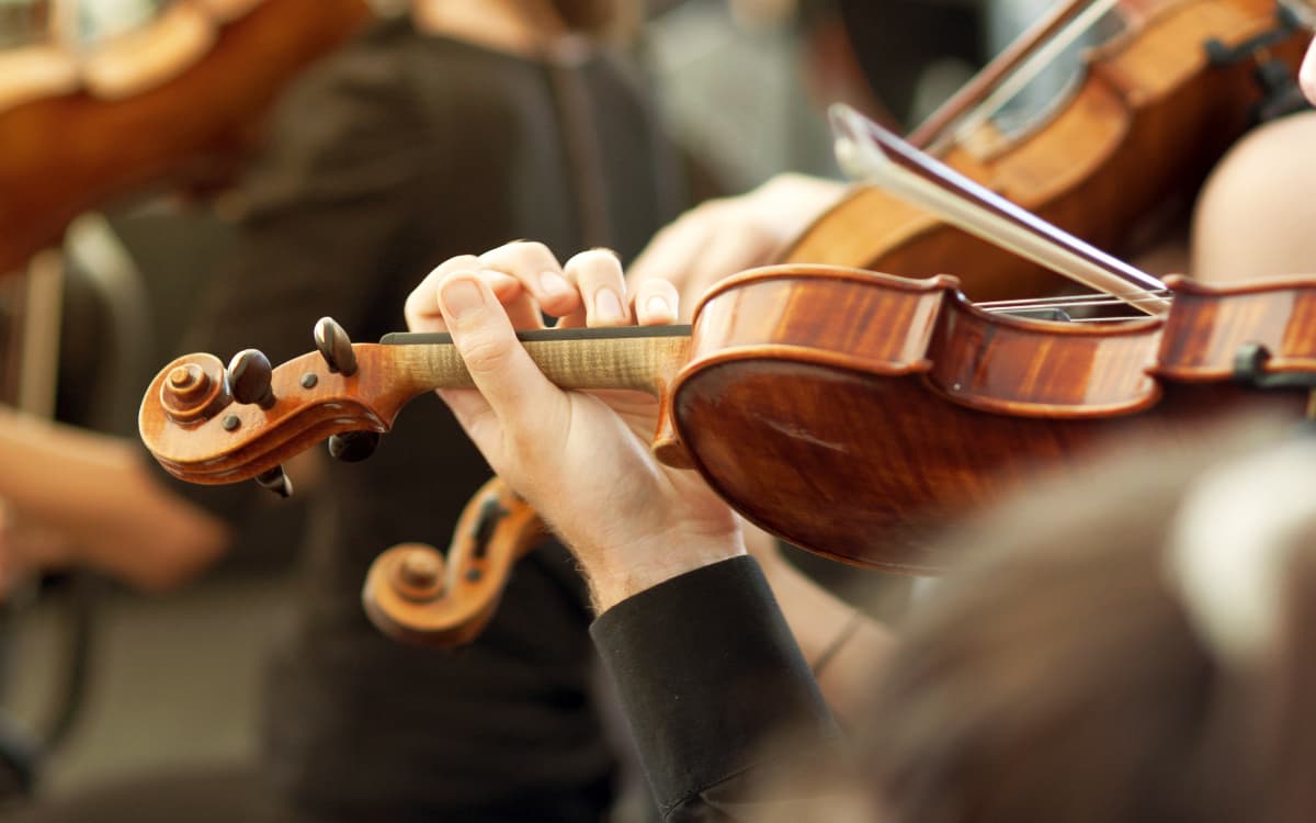 Des violonistes dans un esemble orchestral.