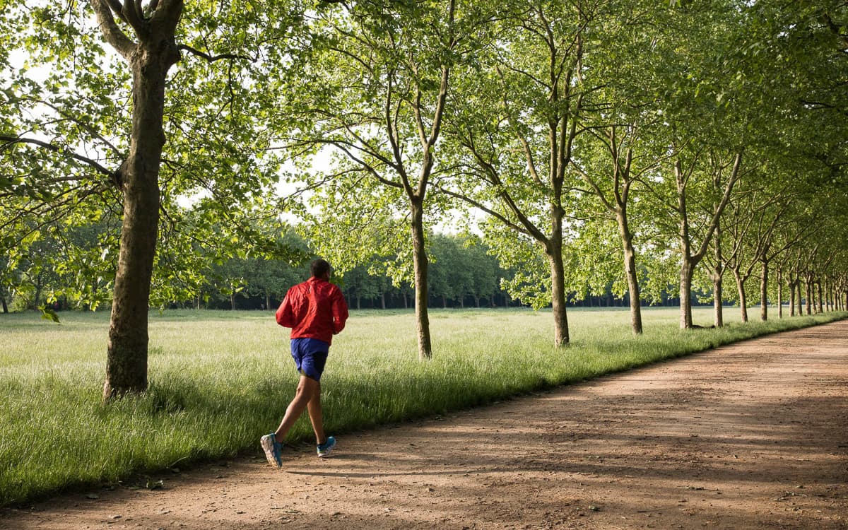 Coureur dans le bois de Vincennes.