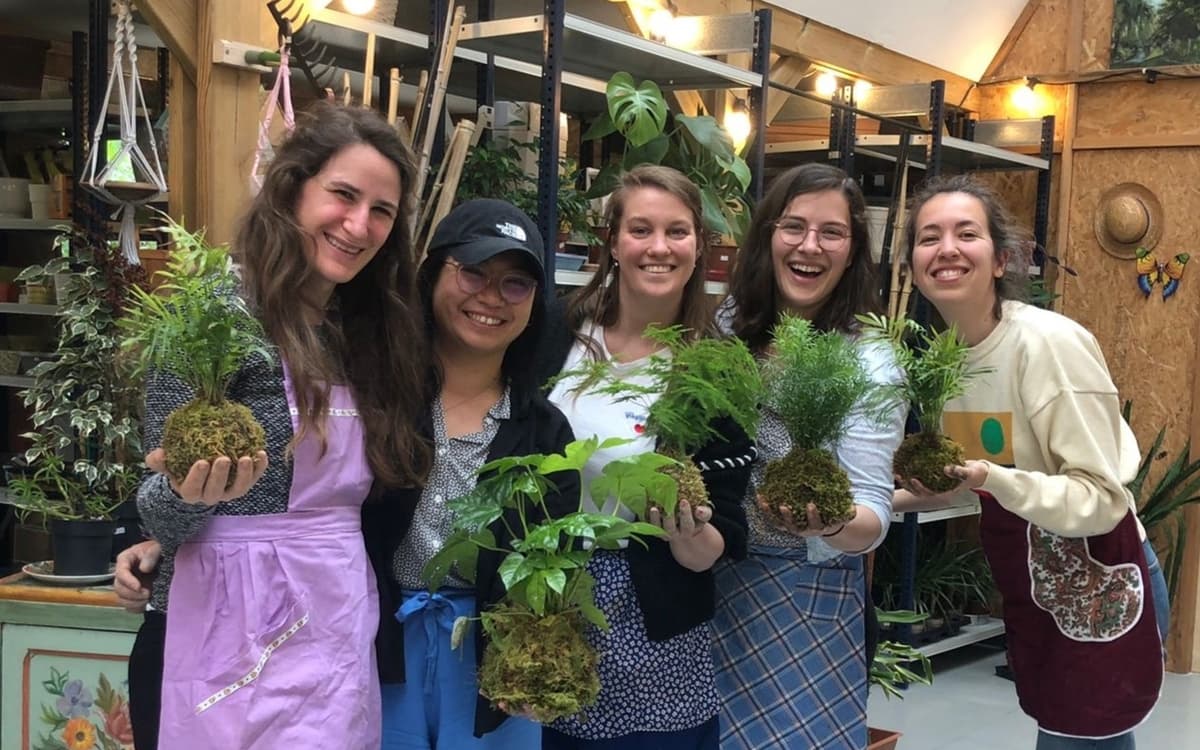 Kokedama