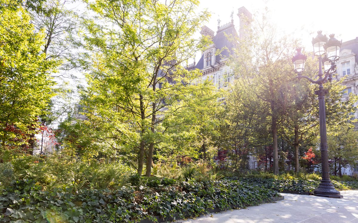 Hôtel de ville Forêt urbaine