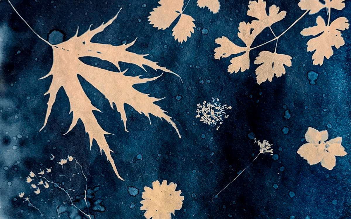 Atelier cyanotype, paris 20