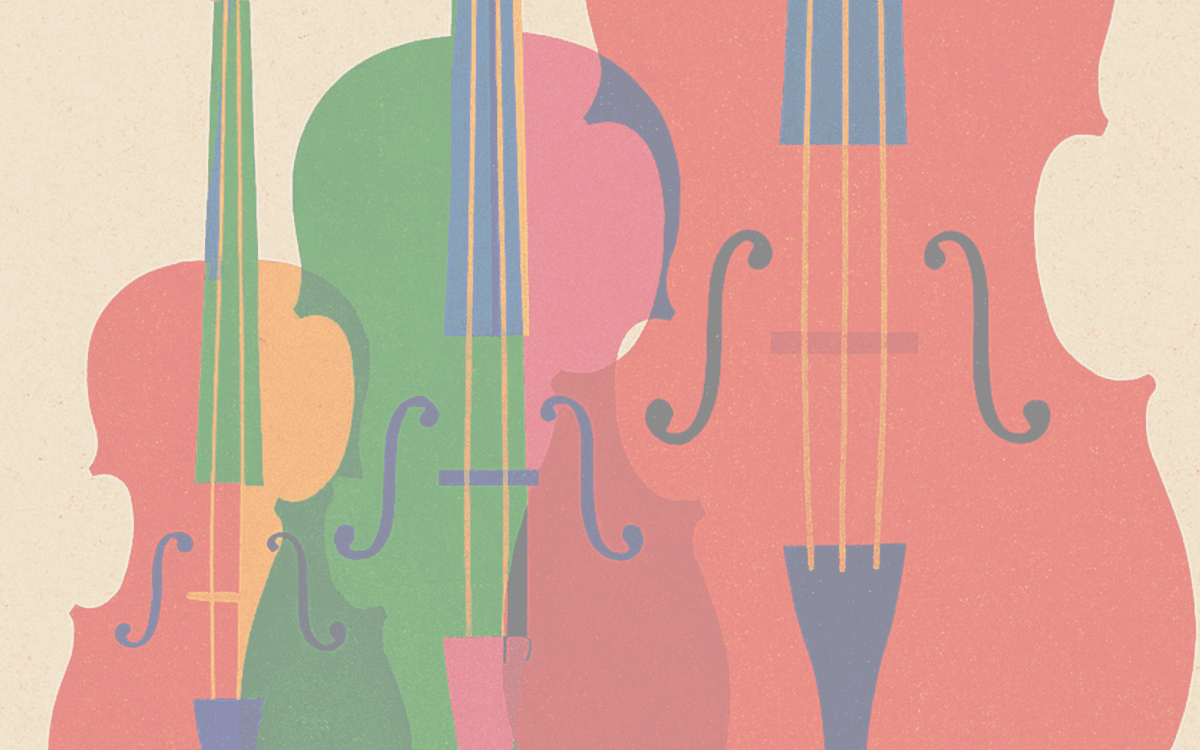 Audition de classe : Le son des cordes