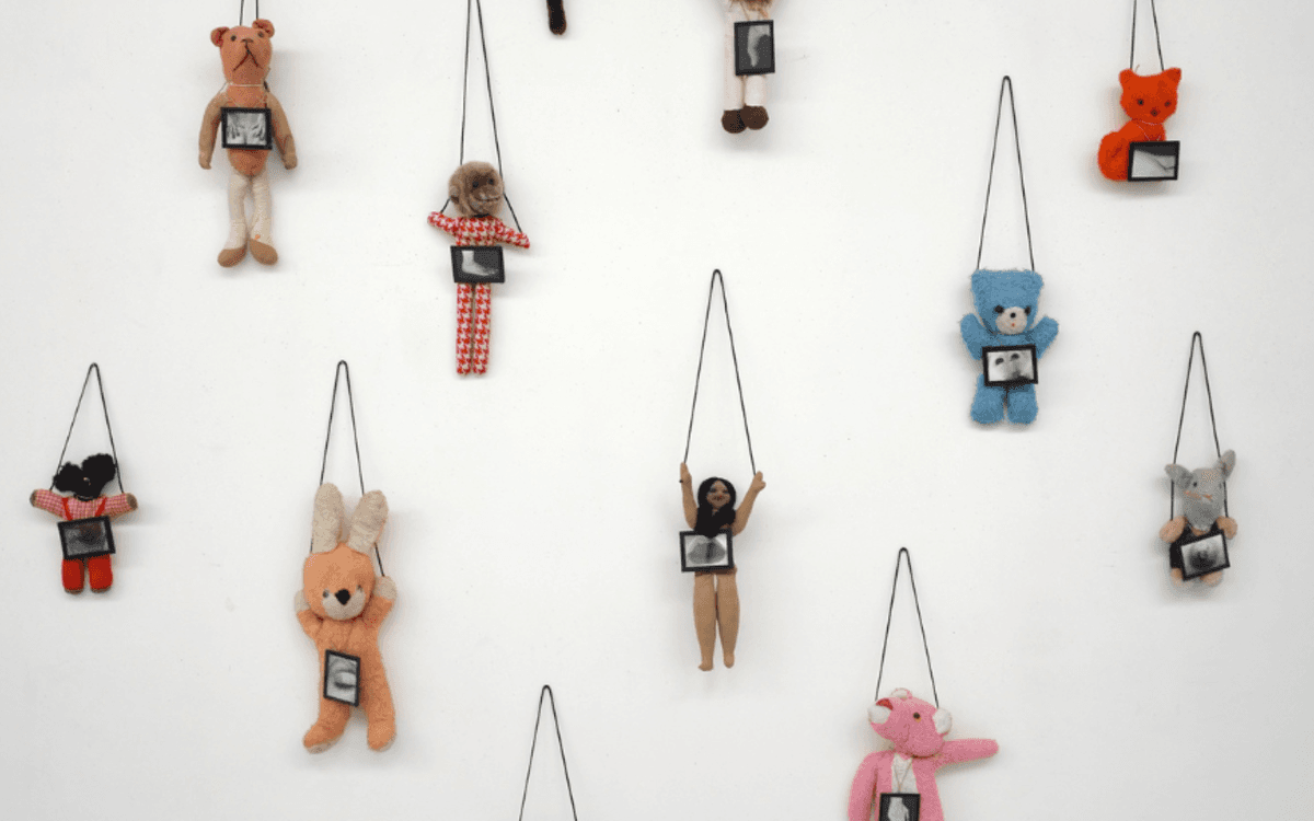 Douze petites effigies (détails), 1990  Peluches, tirages gélatino-argentiques noir et blanc encadrés, verre, cordelettes