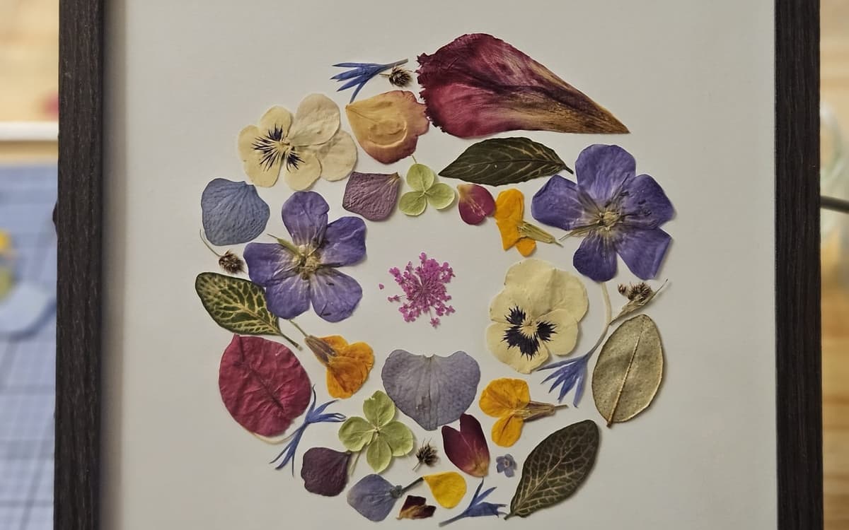 Réalisez un herbier de fleurs pressées françaises