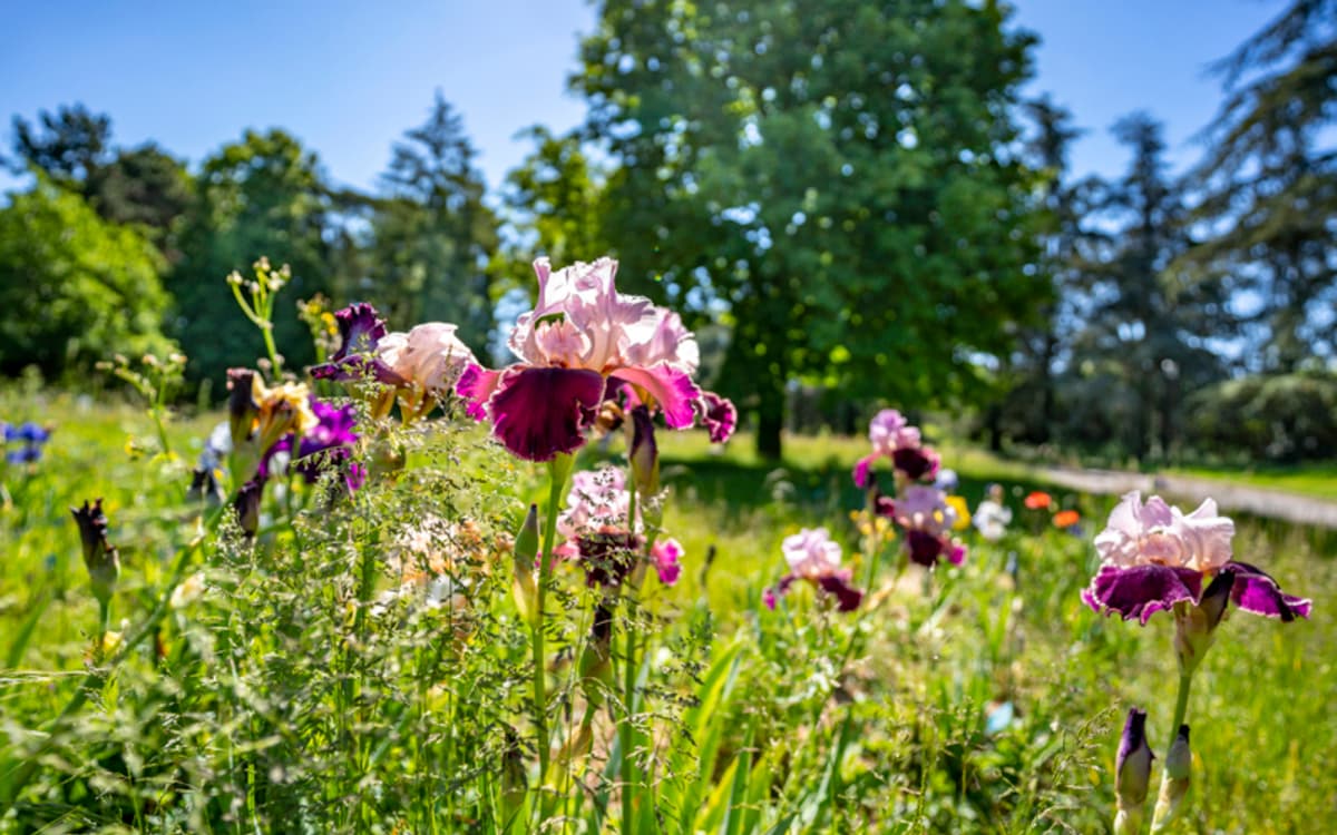Fête des jardins, vive la nature en ville !