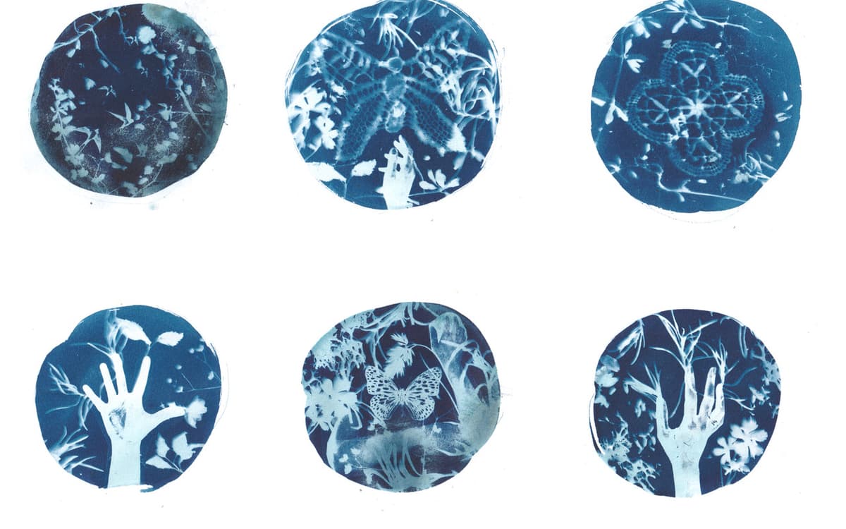 Lucille Clerc - Microscope-Cyanoptypes © SLOW Galerie
