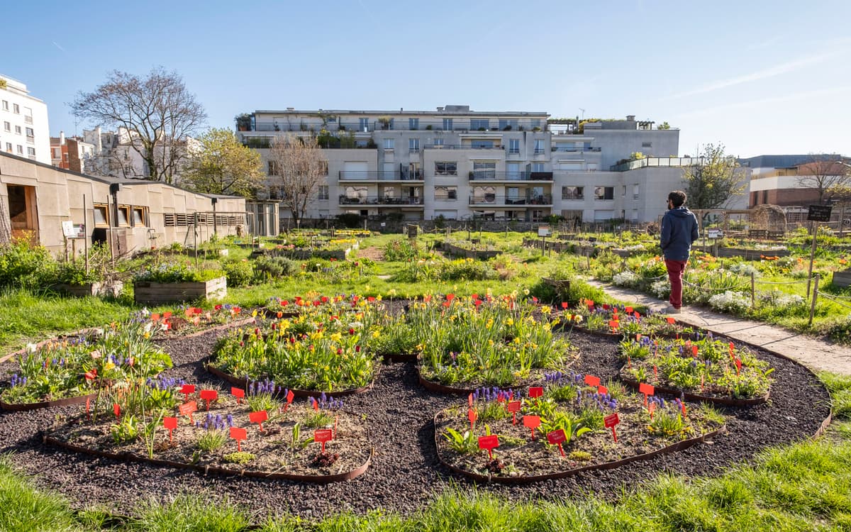 Les activités du Paysan Urbain Paris : le Programme de Septembre 2026