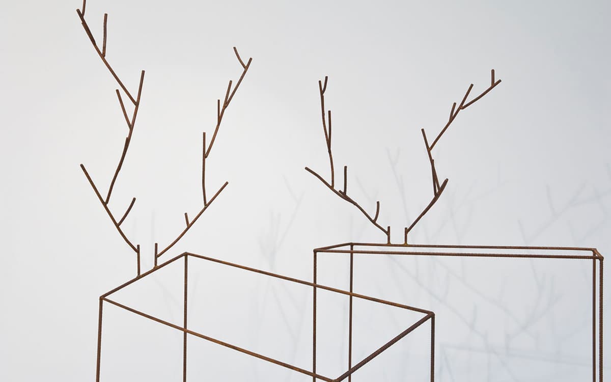 Sans titre (cervidé) I et Sans titre (cervidé) III, Didier Marcel, 2010