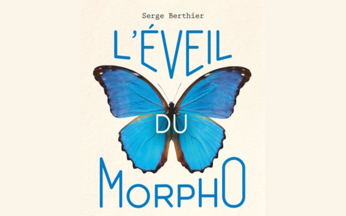 L'éveil du Morpho : bio-inspirez-vous !