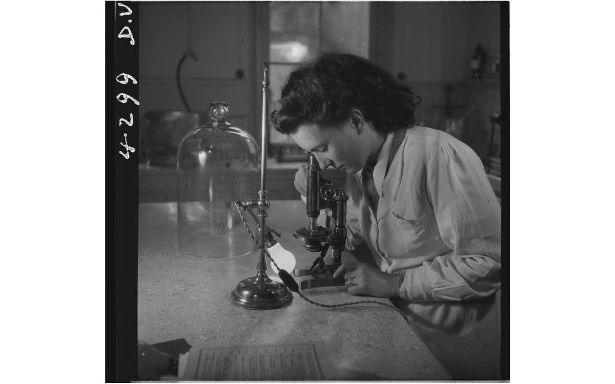 Photographie d'André Zucca