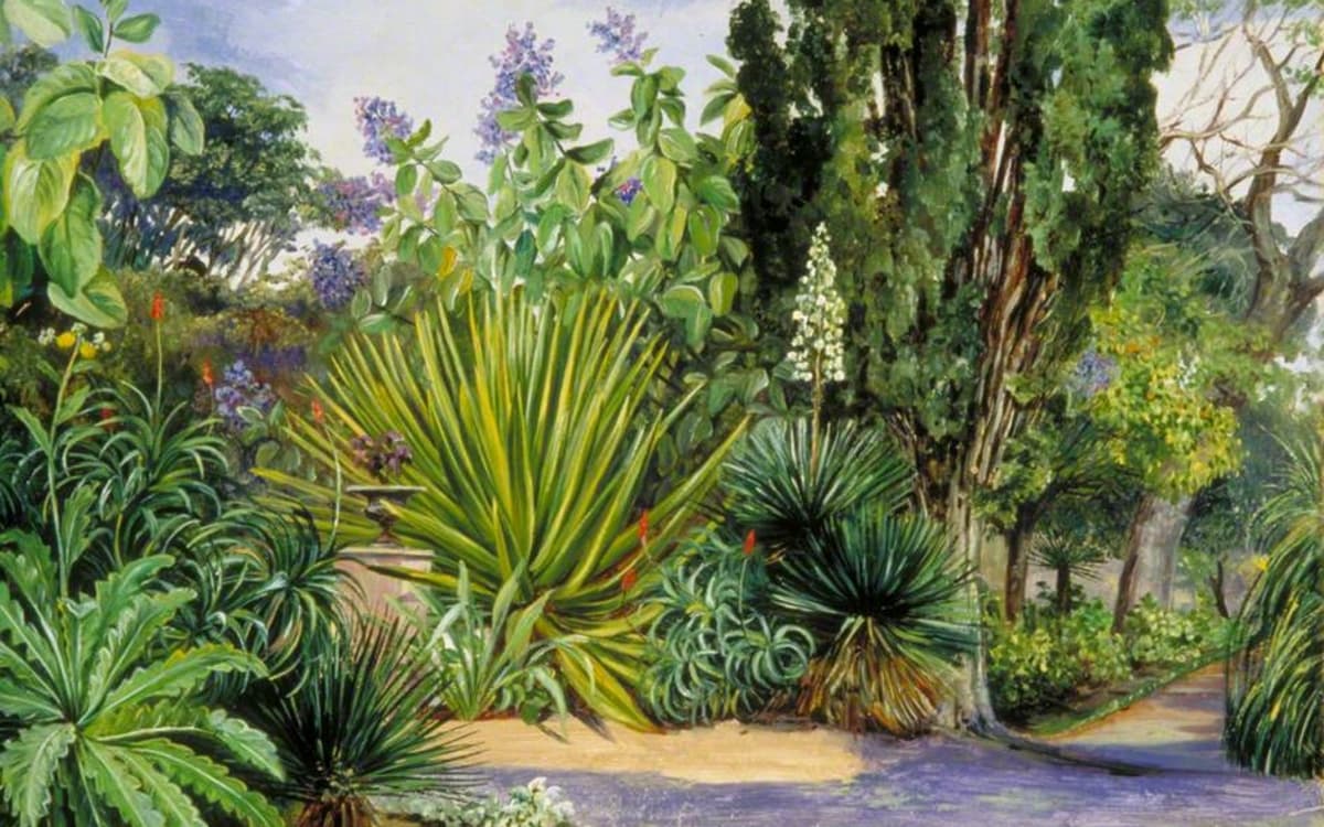 Marianne North (1830-1890) - View in the Garden of Acclimatisation, Teneriffe