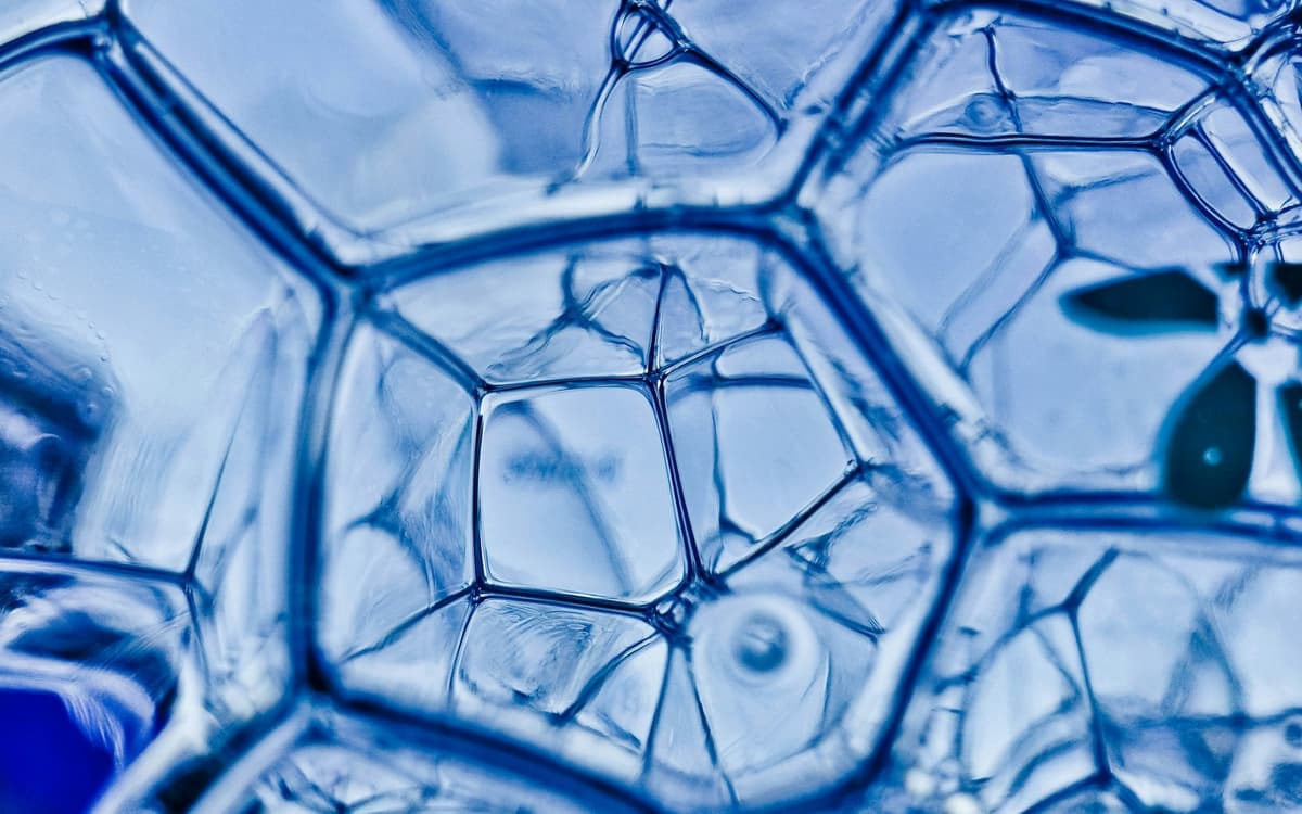 daniele-levis-pelusi-tL_IIeMc5Xo-unsplash