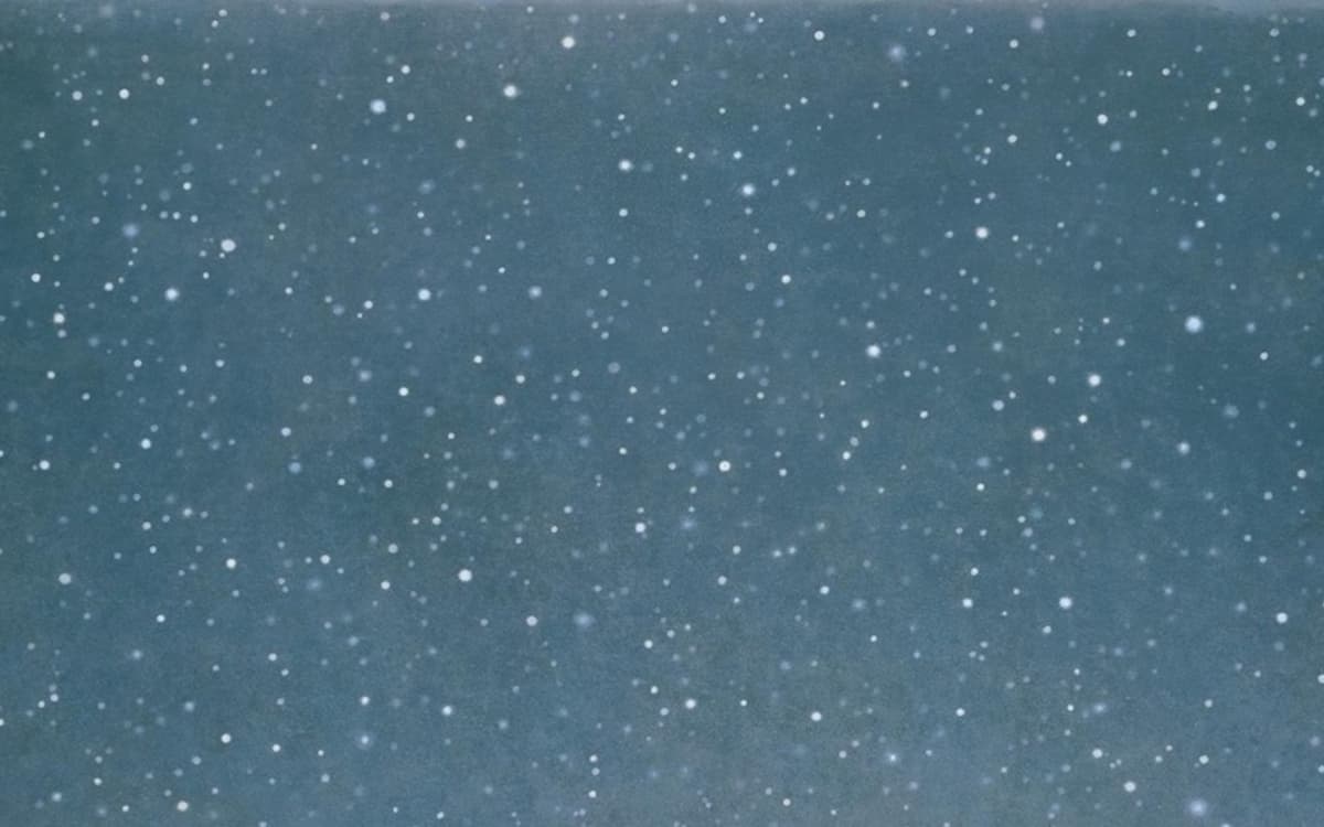 Vija Celmins (1938) Night Sky #11, 1995 © © Vija Celmins, Courtesy Matthew Marks Gallery / Photographie : © Vija Celmins