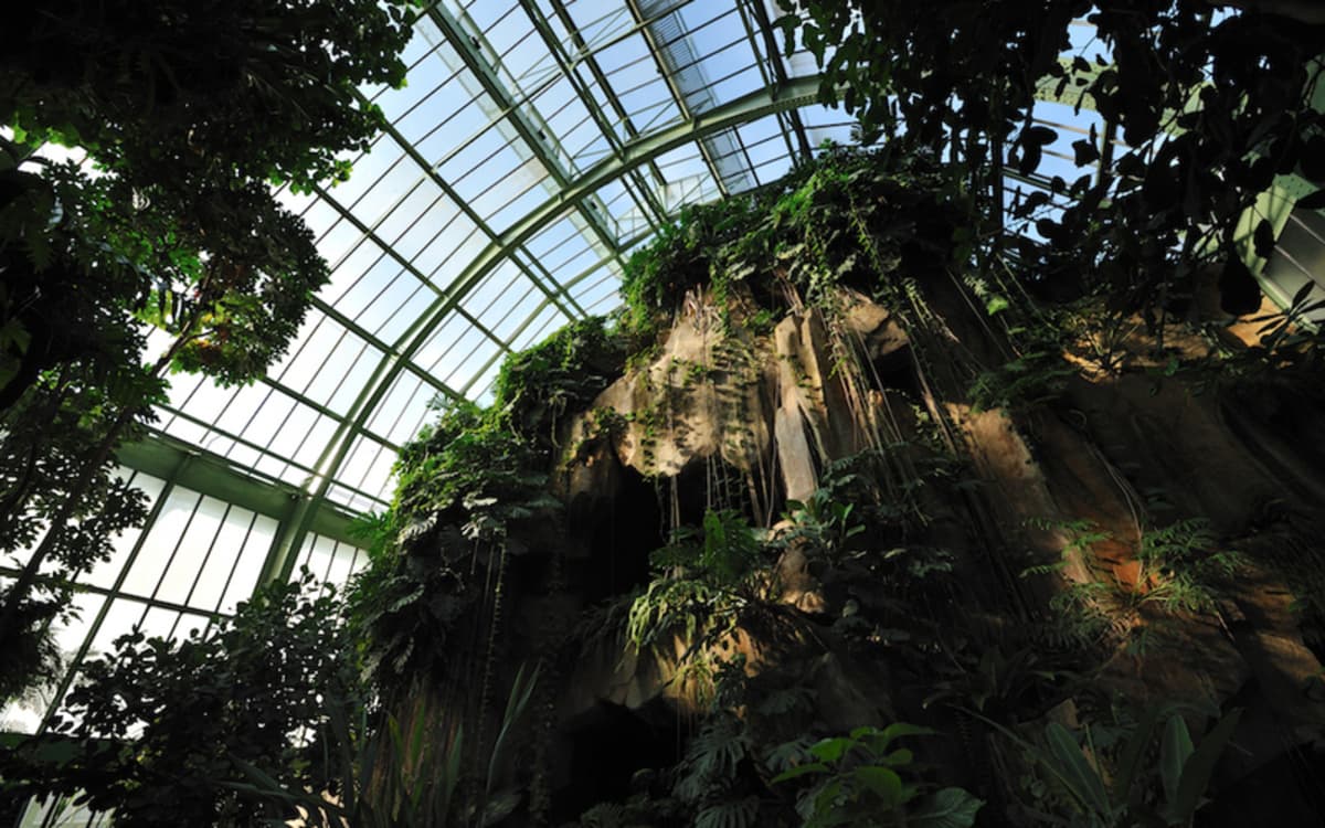 Les Grandes serres du Jardin des plantes