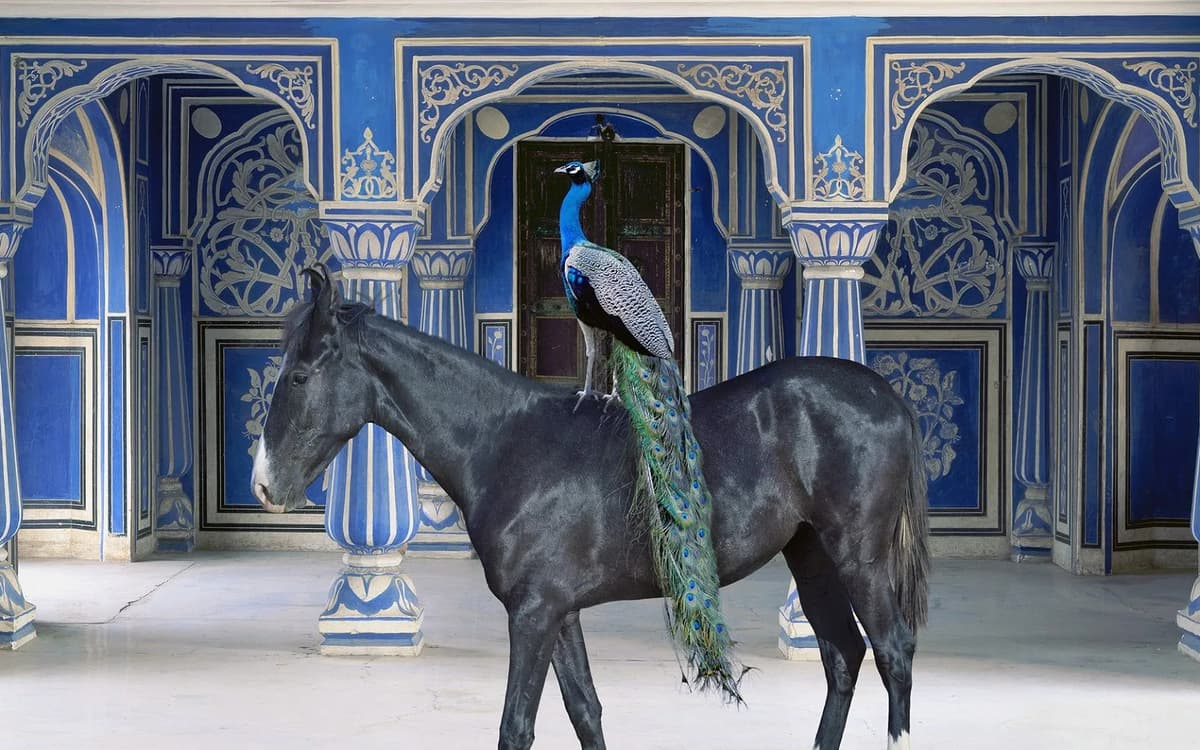India Song, 044 Sikander’s Entrance, Chandra Mahal, Jaipur City Palace, Jaipur, 2013 © Karen Knorr