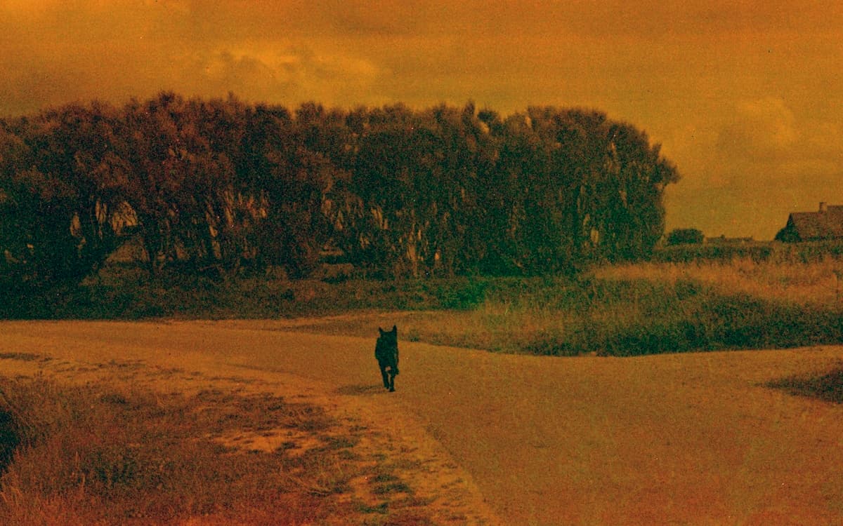 You’ll get there / 2025 (2026)