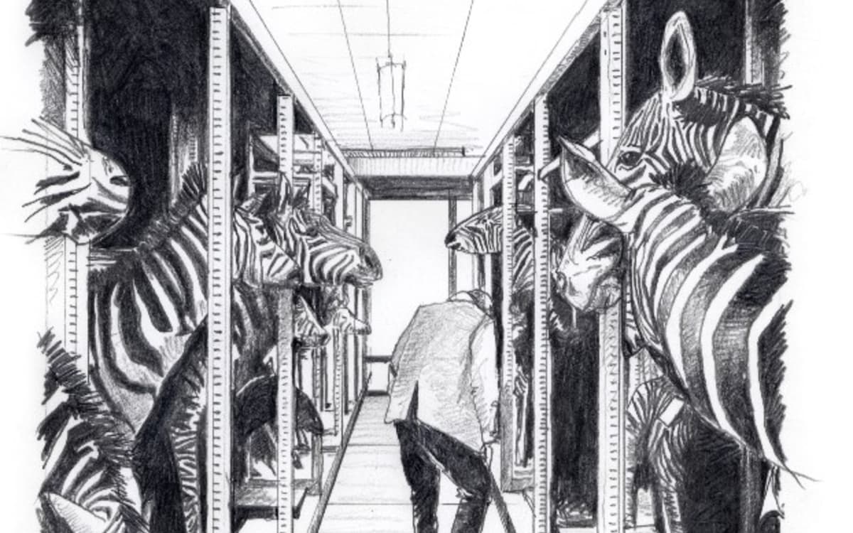 Exposition Animaux et culture