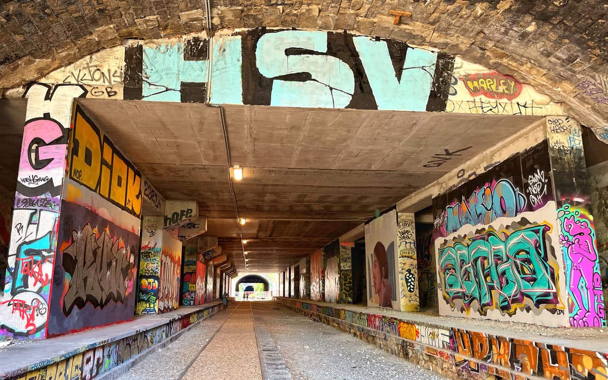 vue de la Petite Ceinture du 14e