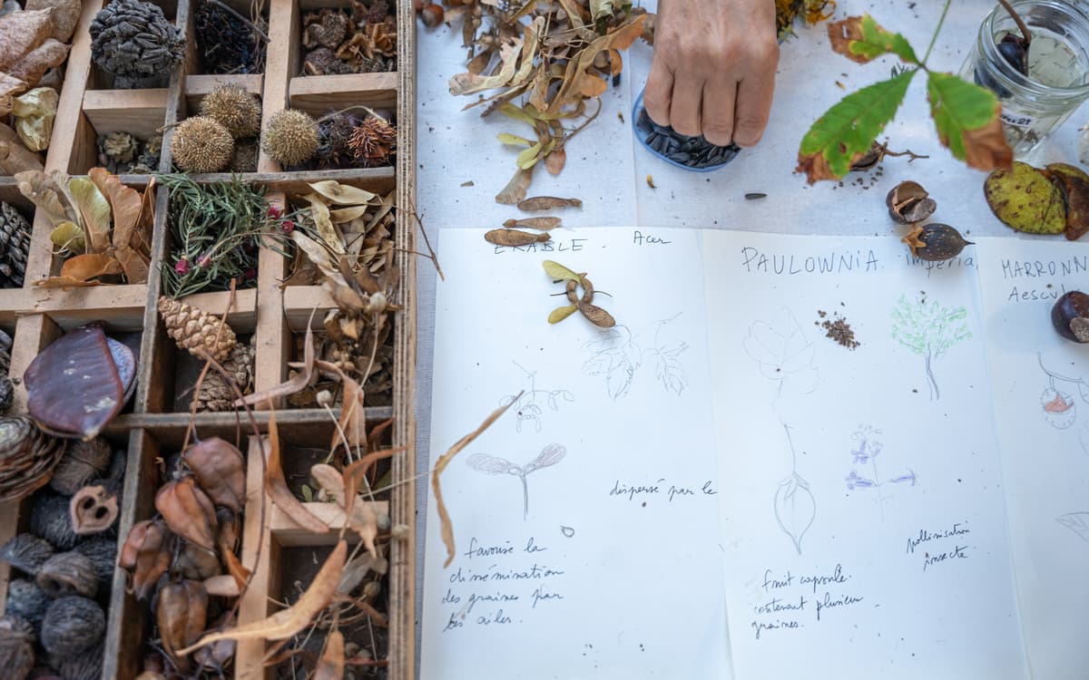 Fête des jardins : Paris Centre célèbre la nature en ville !