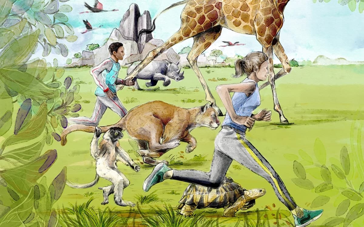 Paris Zoo Run