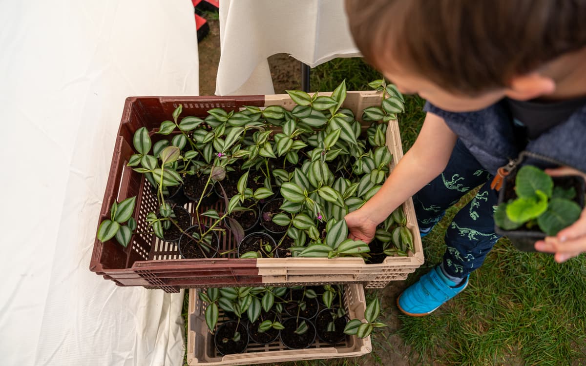 Fête des jardins : le 6e célèbre la nature en ville !