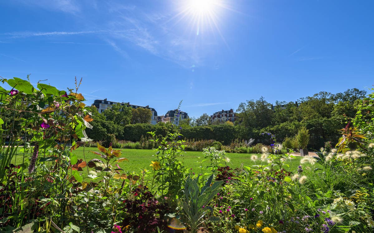 Vue sur la grande pelouse du square depuis une décoration florale