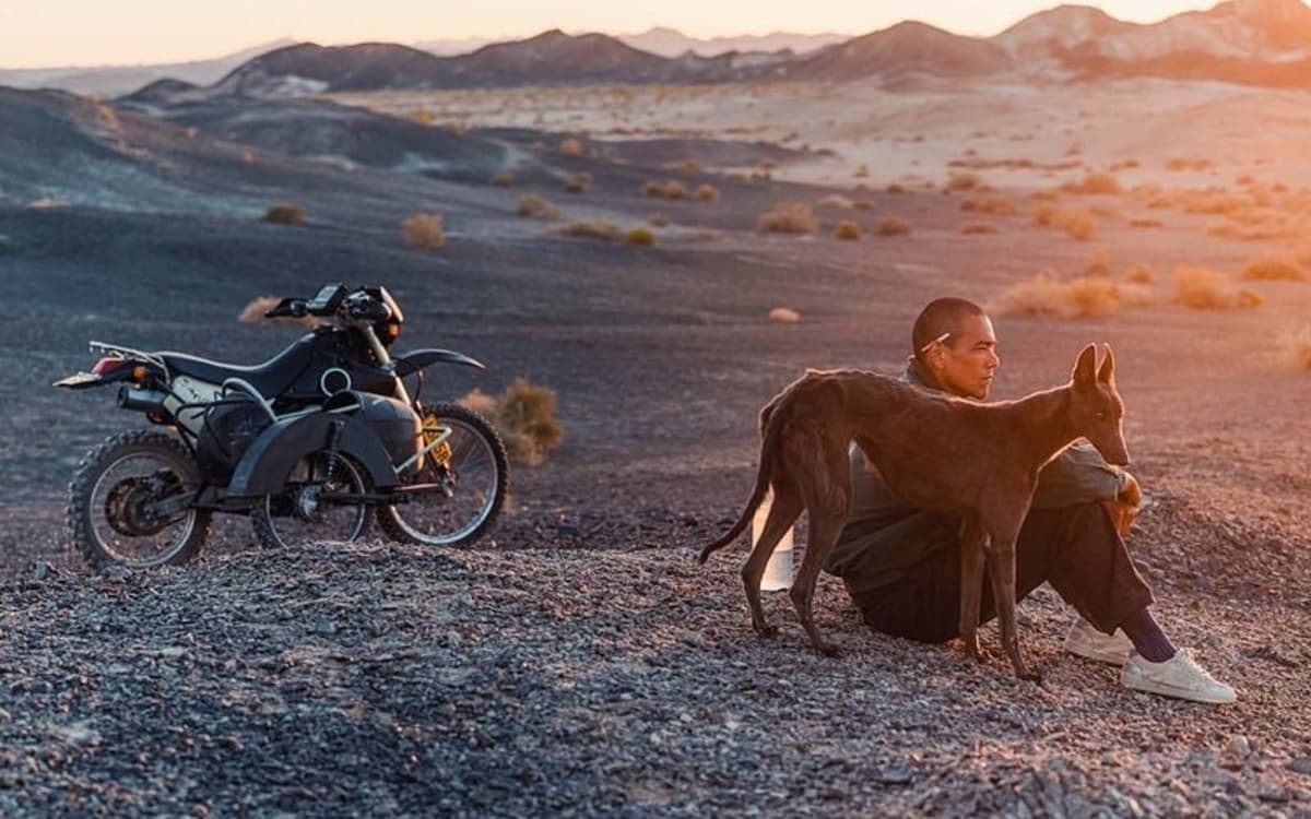 Black dog de  Hu Guan