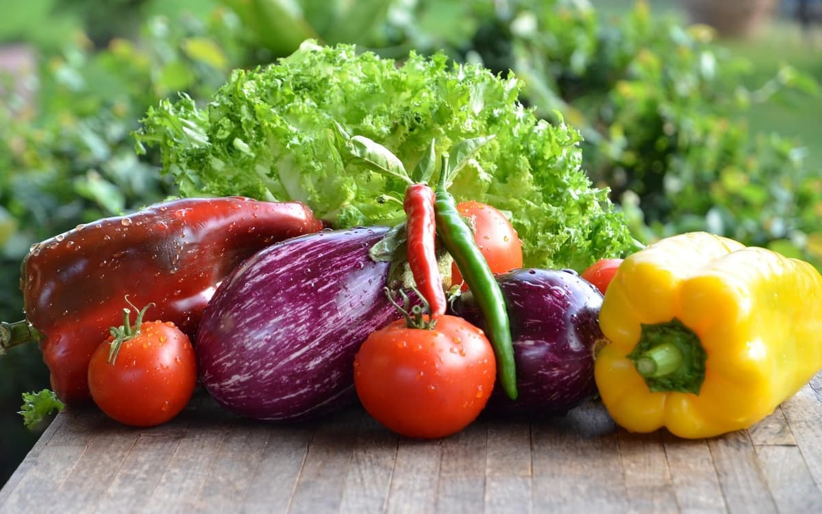 Pourquoi végétaliser son alimentation ?