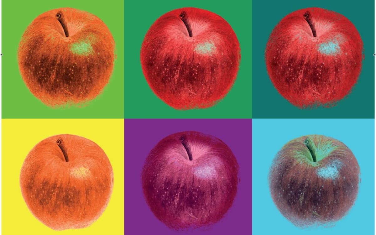 On a vu, on a aimé l’expo « Pompompom Pommes ! »