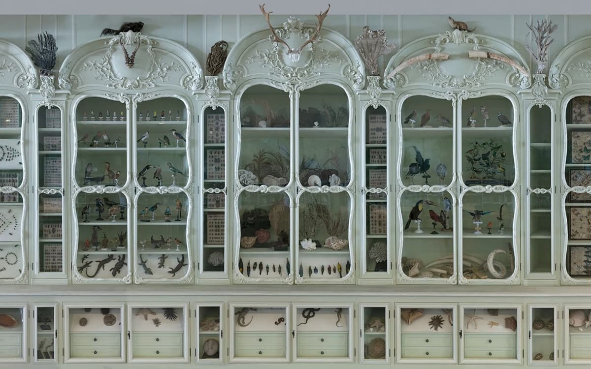 Cabinet Bonnier de la Mosson - Bibliothèque centrale du Muséum, Jardin des Plantes