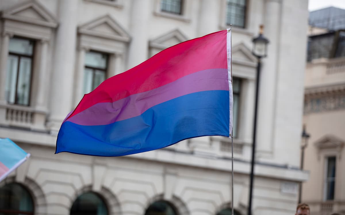 Drapeau de la fierté bisexuelle