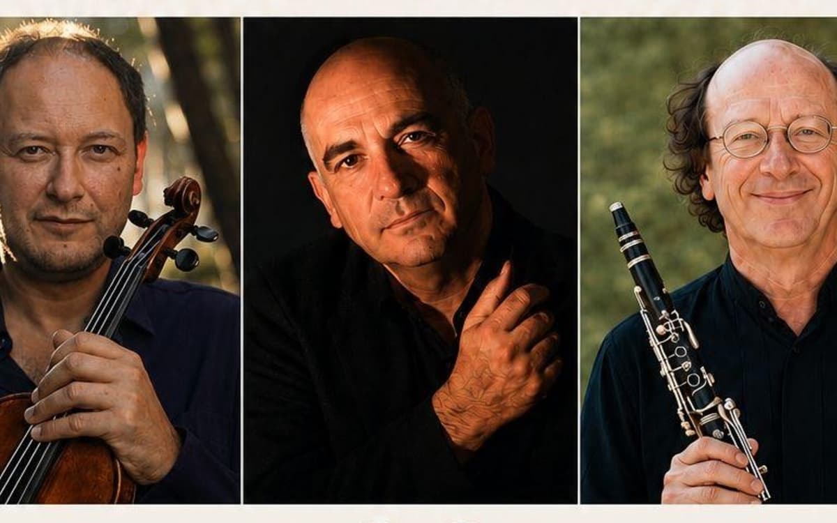 Grand Concert : Ensemble les Virtuoses