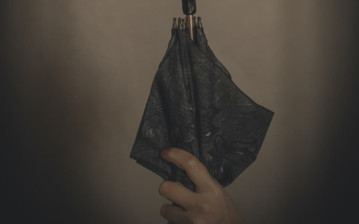 Le Parapluie de Rosa Parks / centre social et culturel Rosa Parks