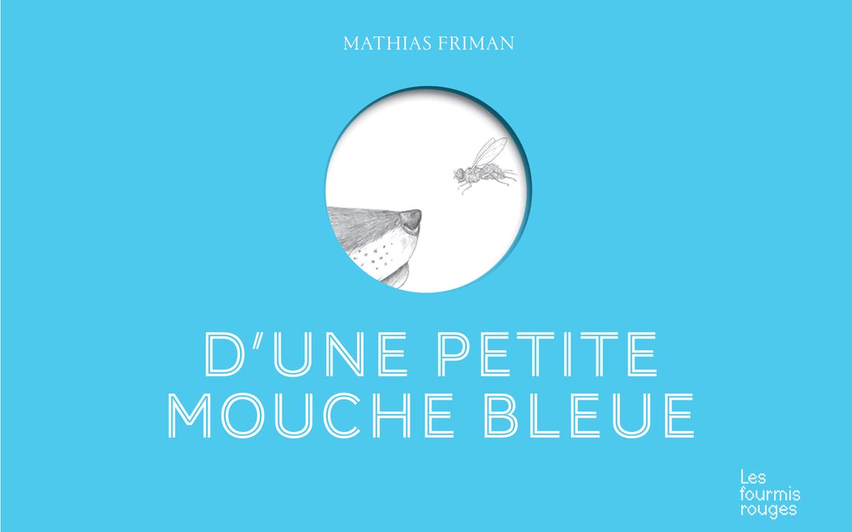 D'une petite mouche bleue