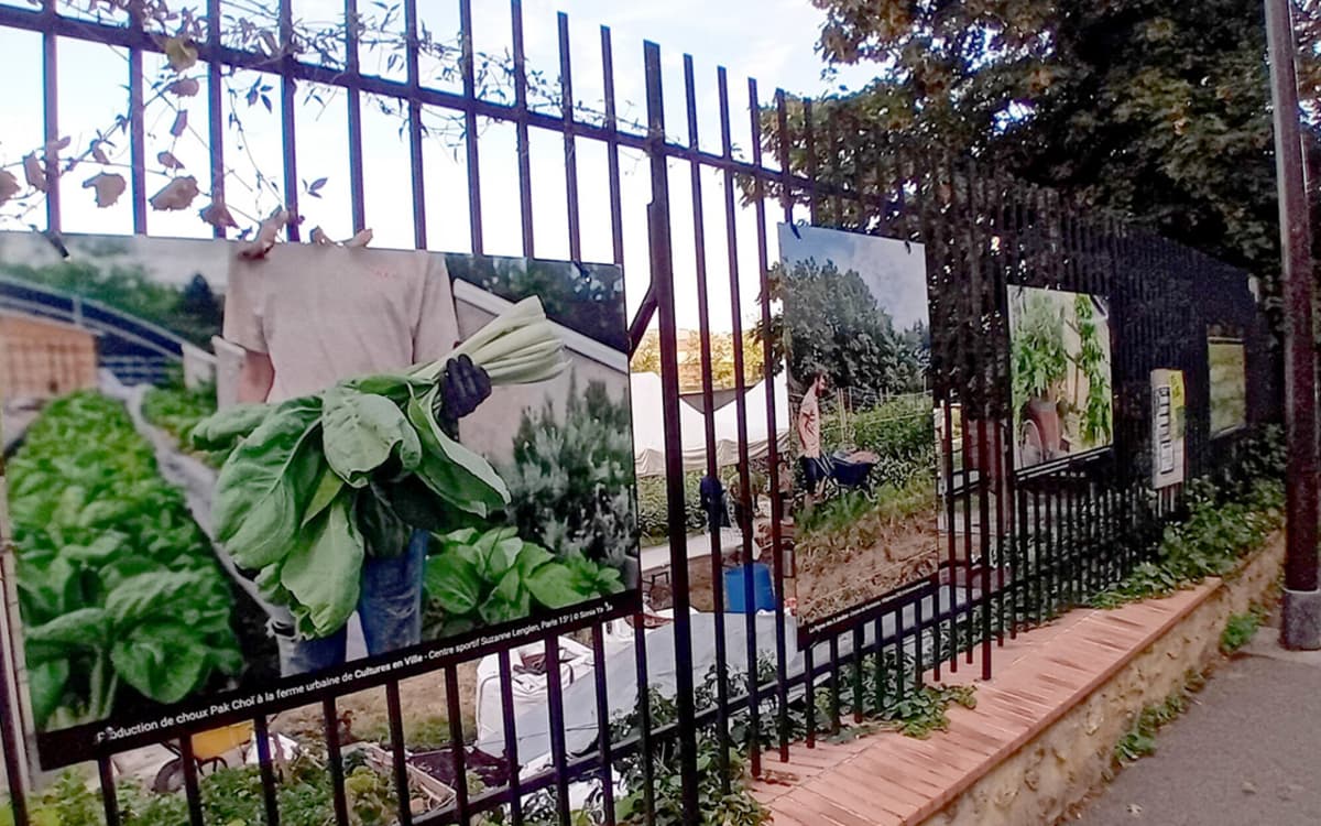 L'exposition photo Parisculteurs est visible au siège de Paysan Urbain.