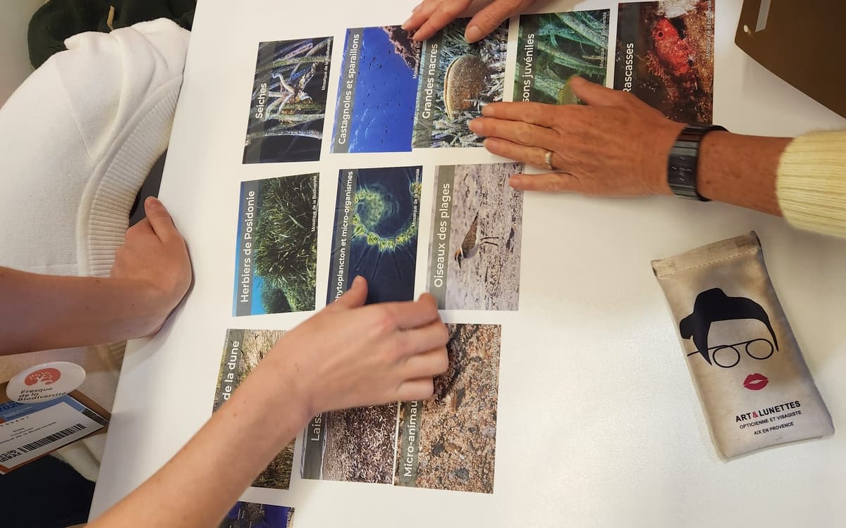 Ateliers Domino des Ecosystèmes