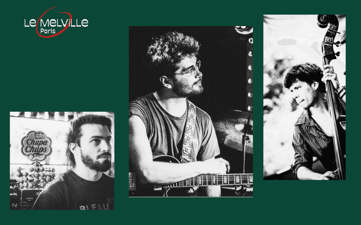 Fedia amice trio