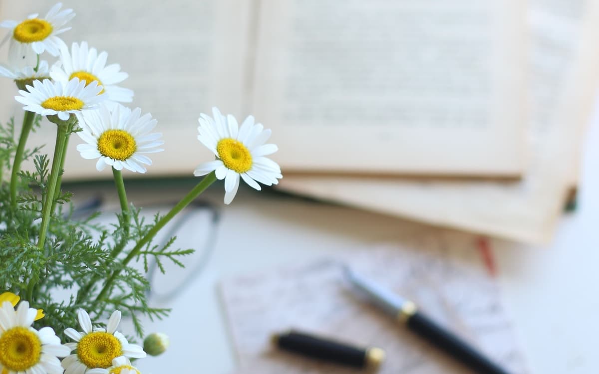 Atelier d'écriture : "Ce que la mémoire invente"
